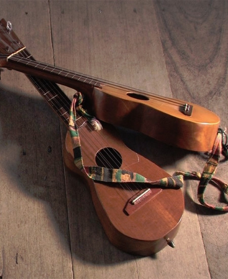 sonjarocho17.jpg