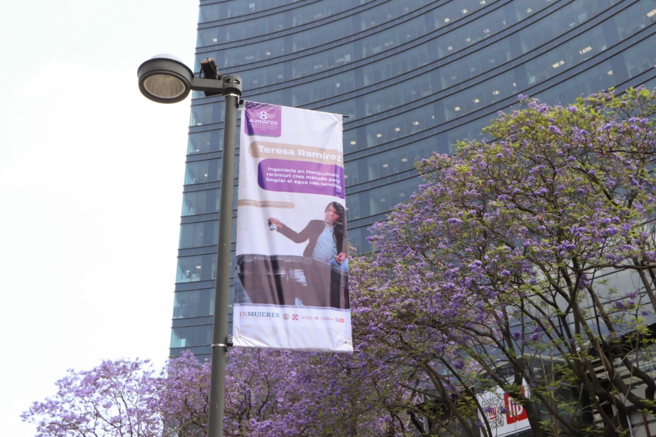 MUJERES TRANSFORMANDO LA CULTURA (4).jpeg