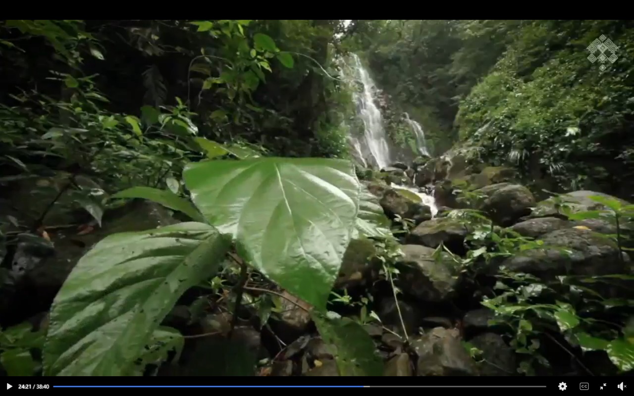 MUNIC CASCADA.jpeg