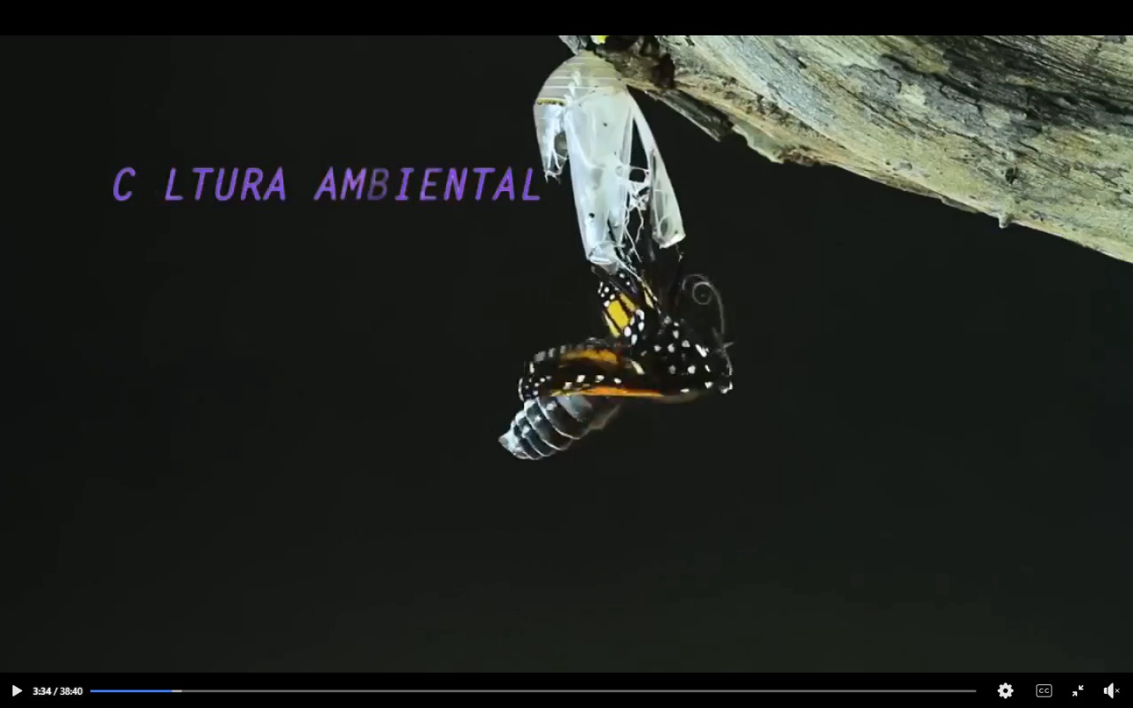 MUNIC IMAGEN.jpeg