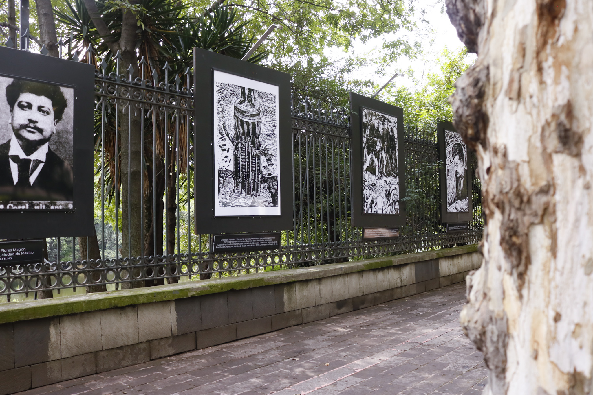 MX JO RICARDO FLORES MAGÓN _ TIERRA Y LIBERTAD_ (10).jpg