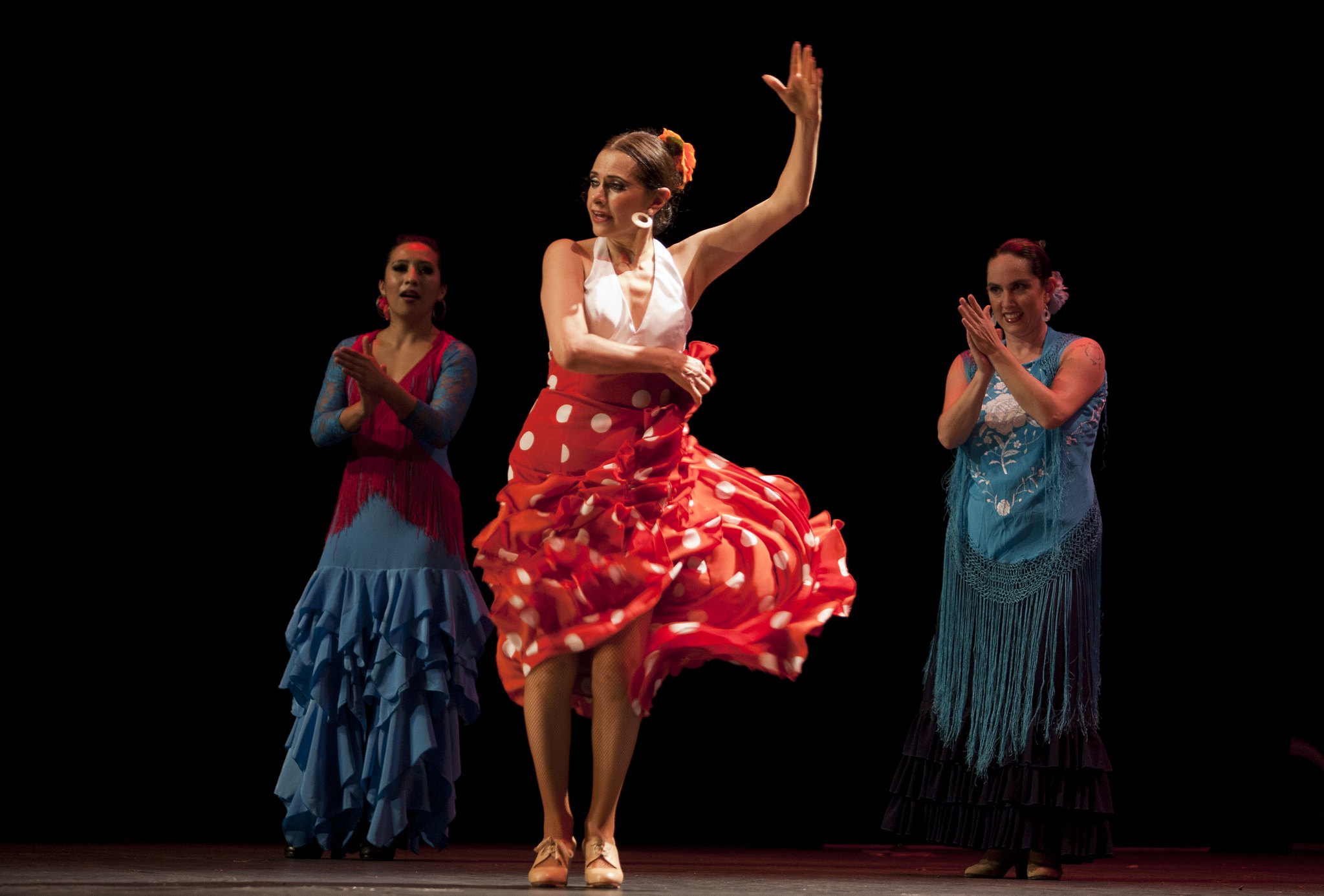 FLAMENCO HUMANO 2.jpg