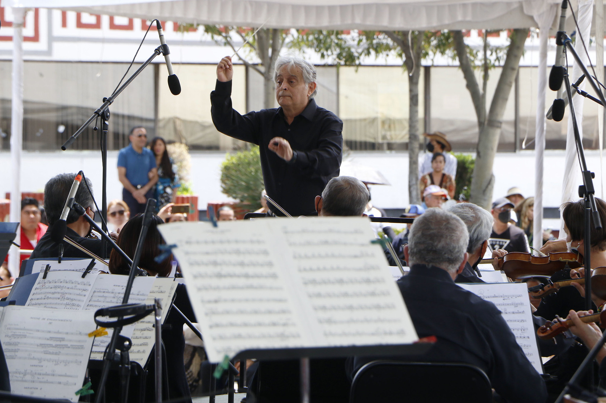 OFCM_ CONCIERTO ZÓCALO (1).jpg