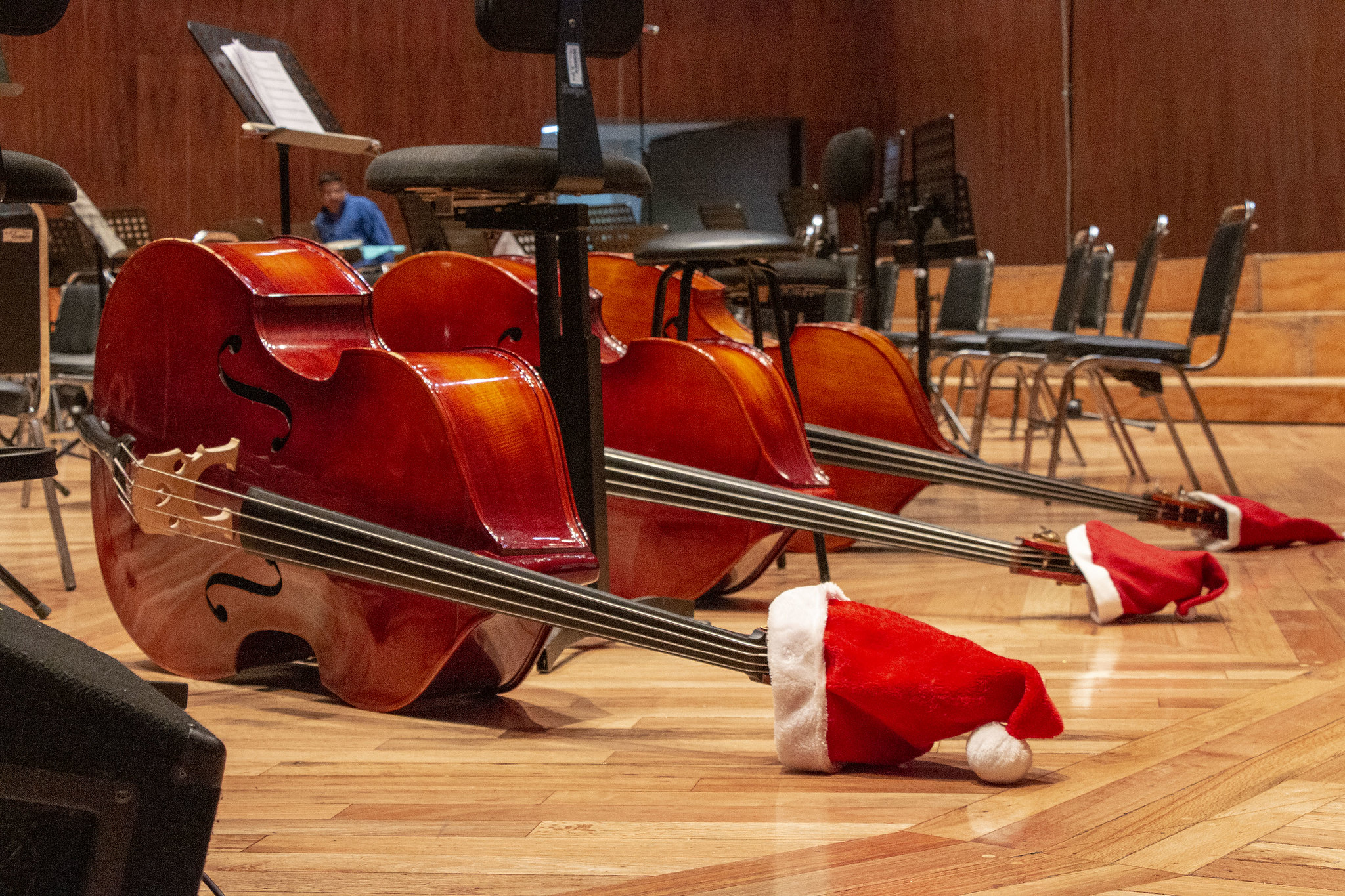 OFCM_ CONCIERTO ZÓCALO (5).jpg