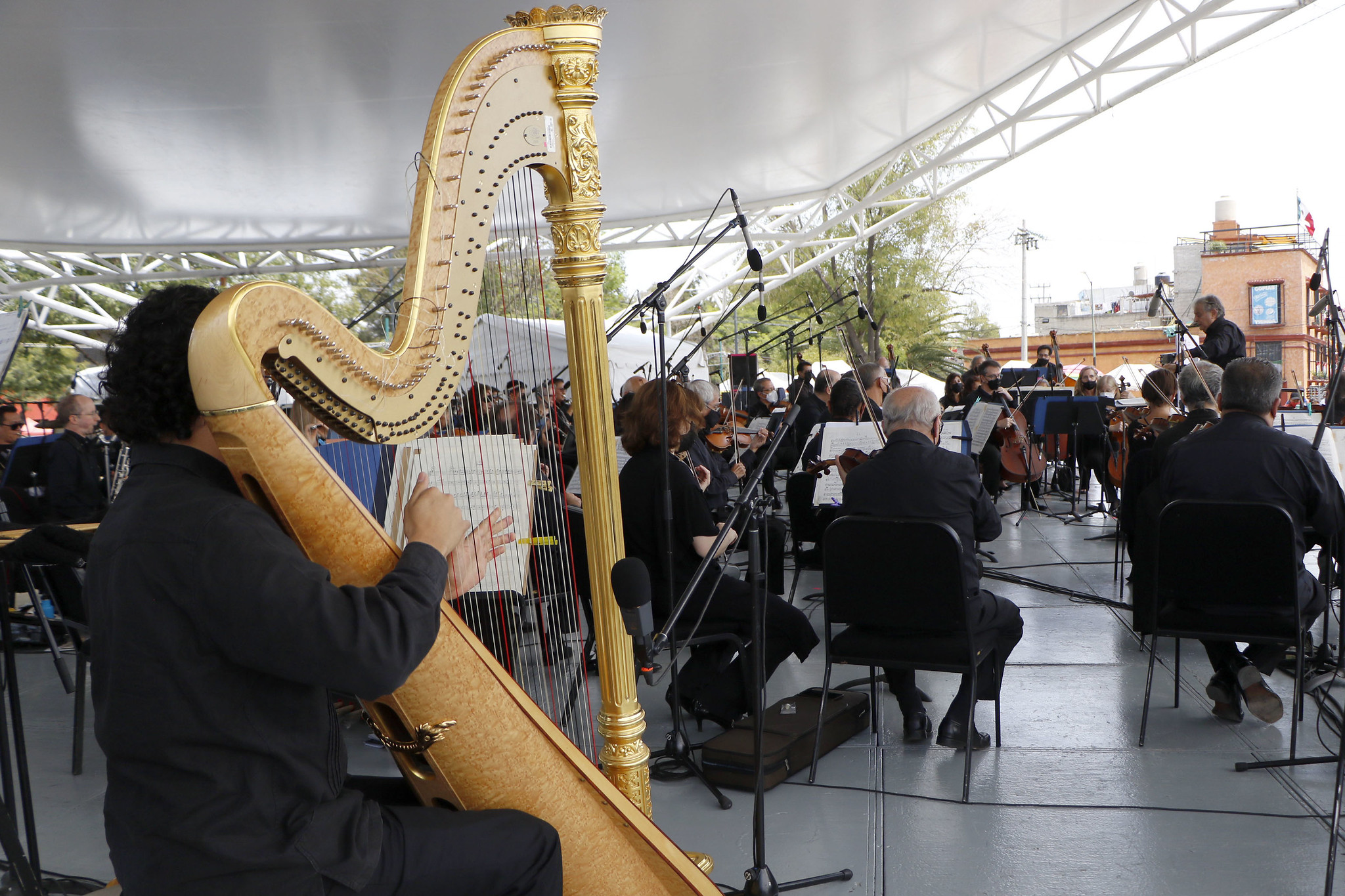 OFCM_ CONCIERTO ZÓCALO (11).jpg