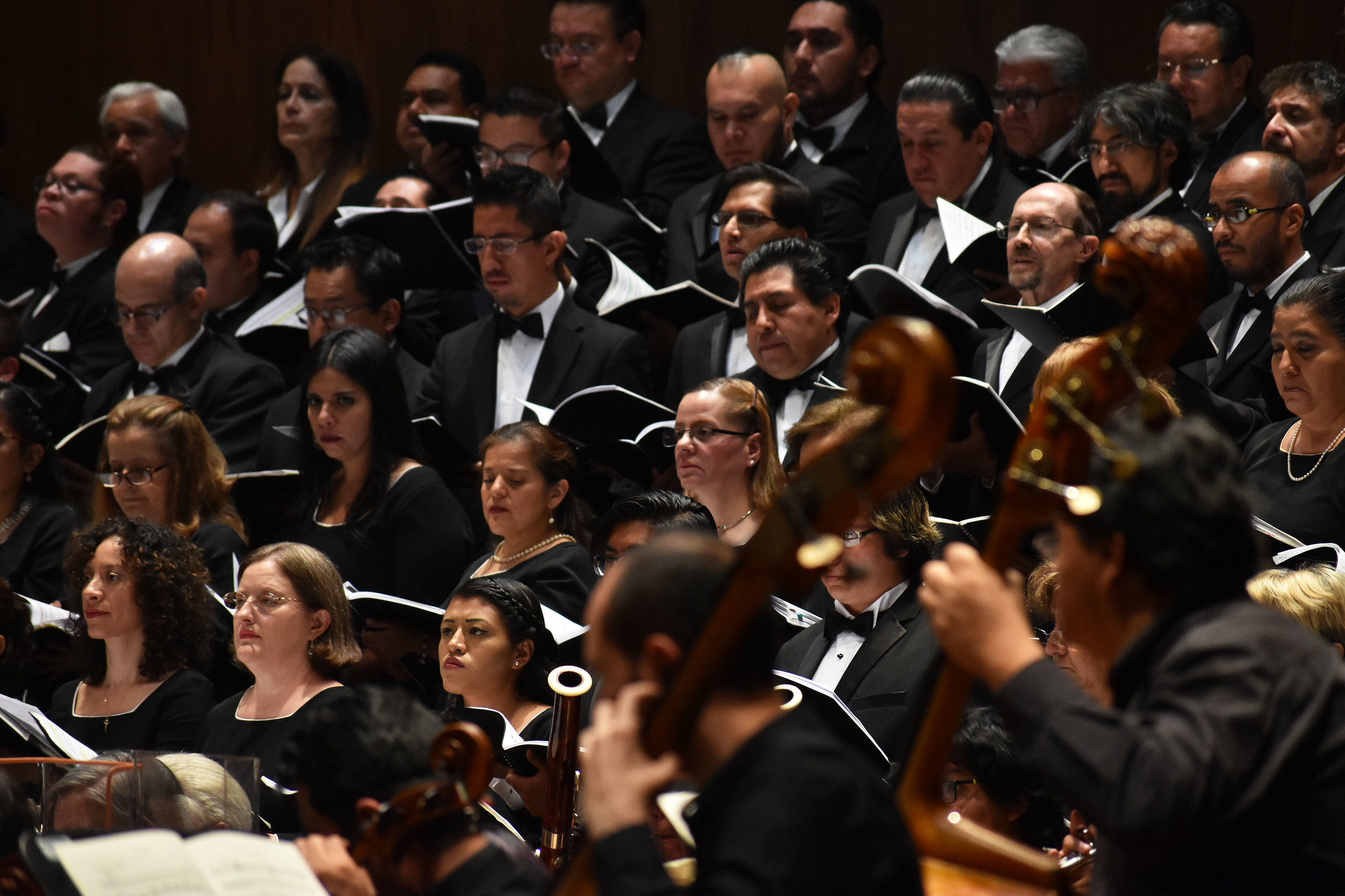 OFCM_ CONCIERTO ZÓCALO (13).jpg