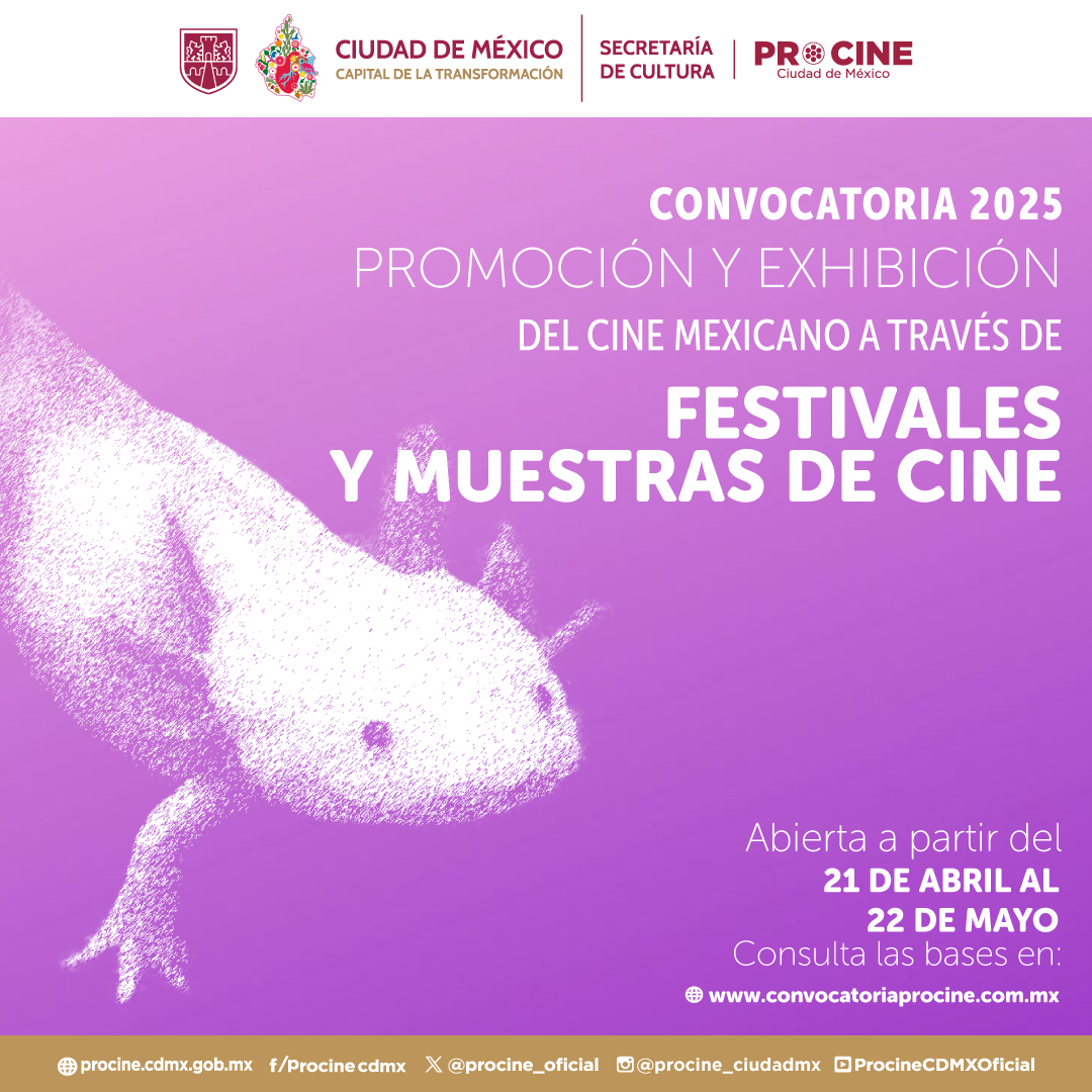 Festivales-ig.jpg