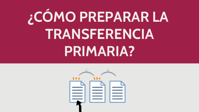 ¿Como preparar la transferencia primaria?
