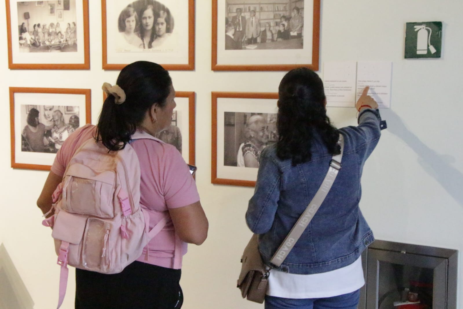 WhatsApp Image 2026-03-07 at 3.29.31 PM (5).jpeg